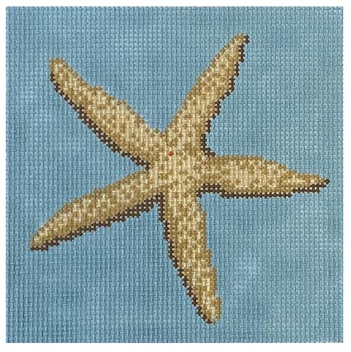 Starfish on 13 Painted Canvas Needle Crossings - 1