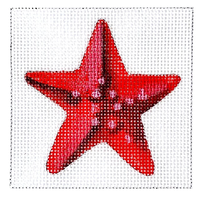 Starfish Painted Canvas Colors of Praise - 1
