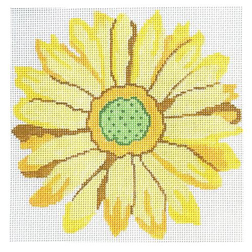Summer Gerber Daisy Painted Canvas Jean Smith