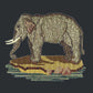 The Elephant Needlepoint Kit Kits Elizabeth Bradley Design Black 