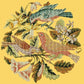 The Three Birds Needlepoint Kit Kits Elizabeth Bradley Design Sunflower Yellow 