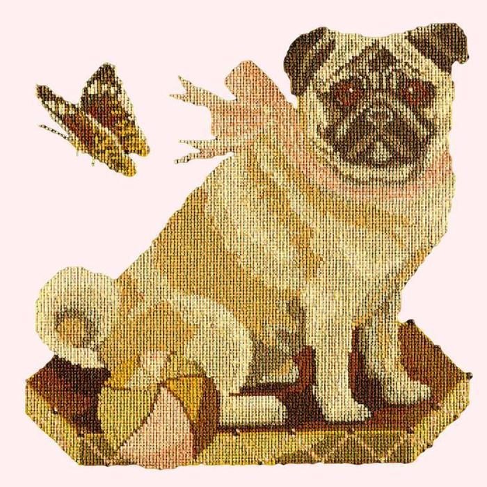 Toby the Pug Needlepoint Kit Kits Elizabeth Bradley Design Cream 