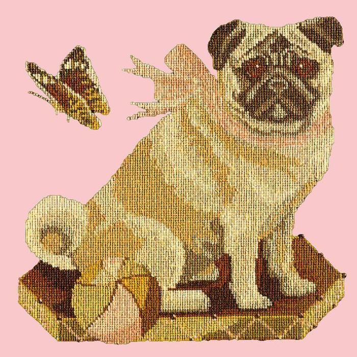 Toby the Pug Needlepoint Kit Kits Elizabeth Bradley Design Pale Rose 