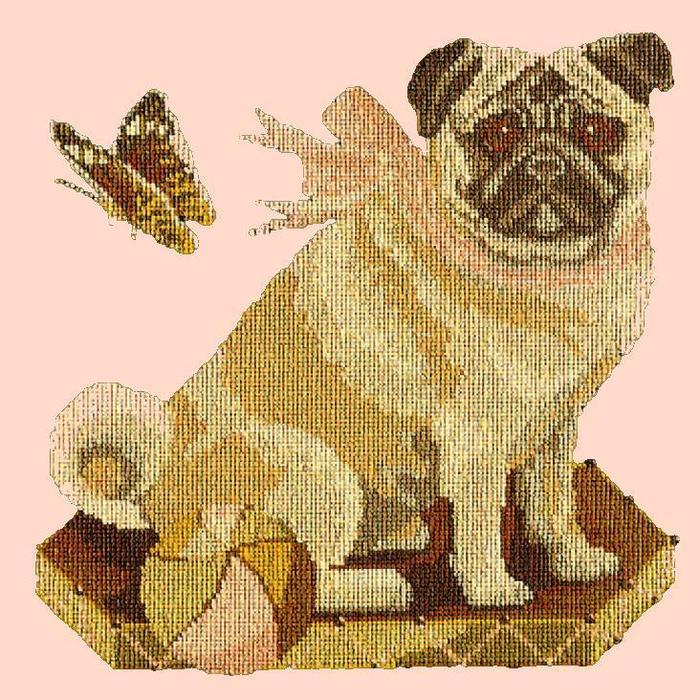 Toby the Pug Needlepoint Kit Kits Elizabeth Bradley Design Salmon Pink 