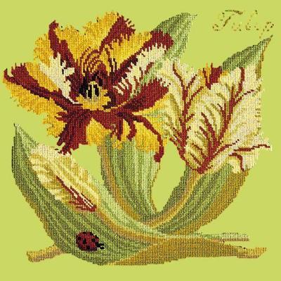 Tulip Needlepoint Kit Kits Elizabeth Bradley Design Pale Lime