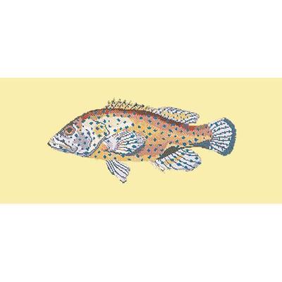 Vermillion Seabass Needlepoint Kit Kits Elizabeth Bradley Design Butter Yellow 