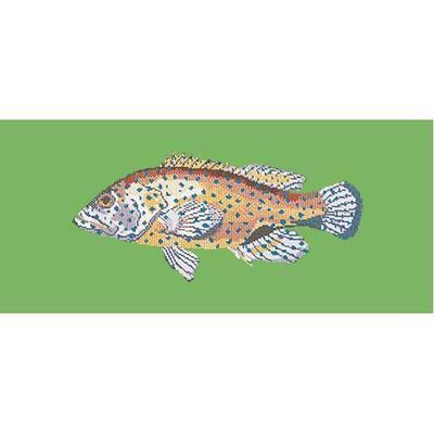 Vermillion Seabass Needlepoint Kit Kits Elizabeth Bradley Design Grass Green
