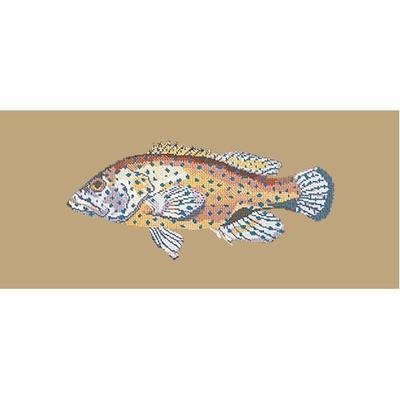 Vermillion Seabass Needlepoint Kit Kits Elizabeth Bradley Design Sand 