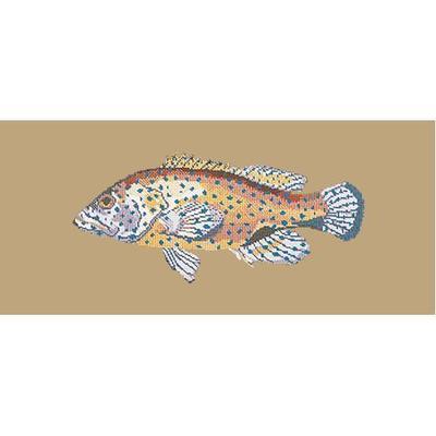 Vermillion Seabass Needlepoint Kit Kits Elizabeth Bradley Design Sand