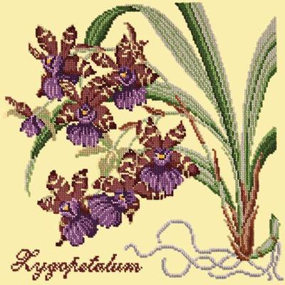 Zygopetalum Needlepoint Kit Kits Elizabeth Bradley Design Butter Yellow