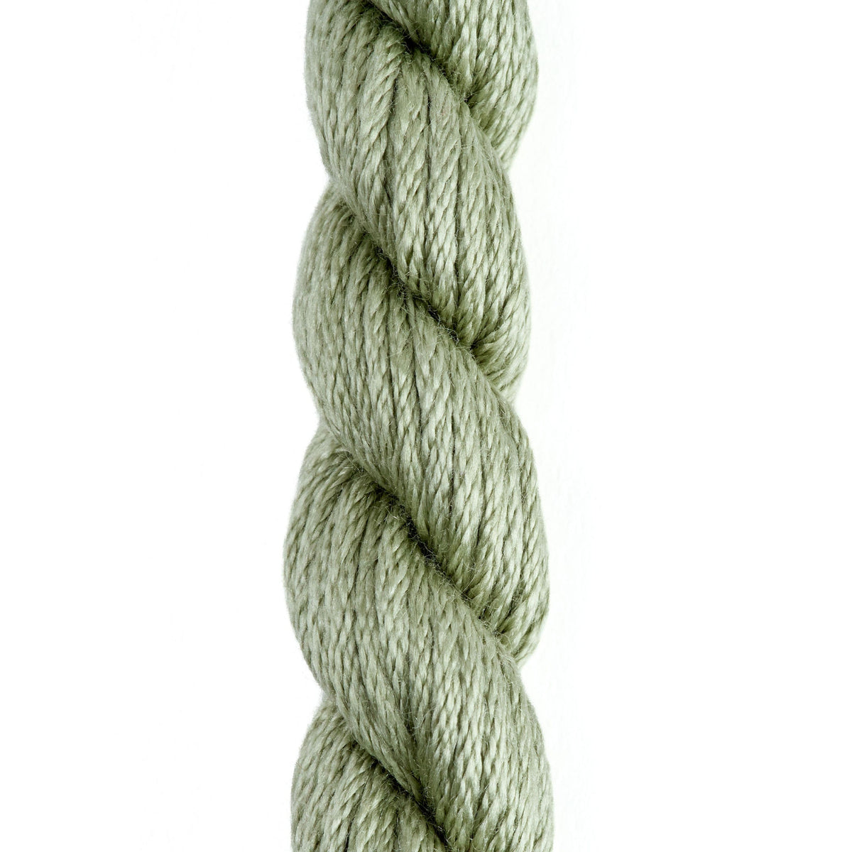 Bradley Silk #761 - 1