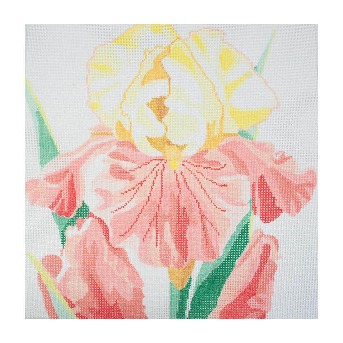 Fall Fiesta Iris 14" - 1