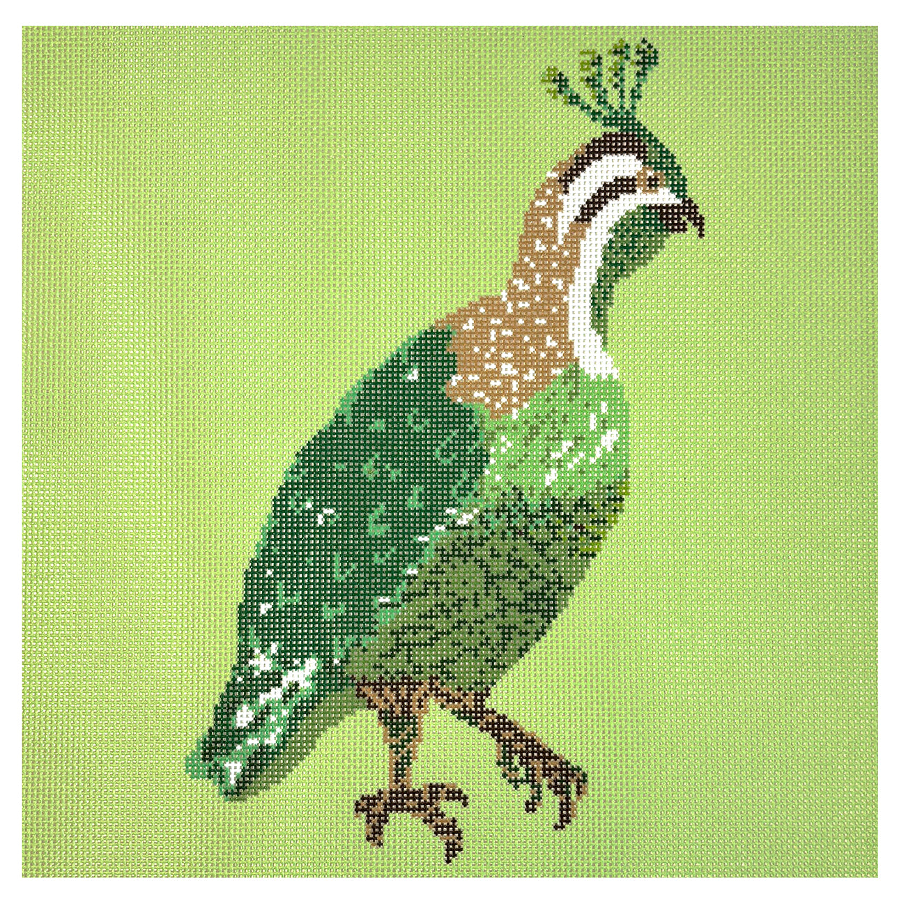 Green Quail 12x12
