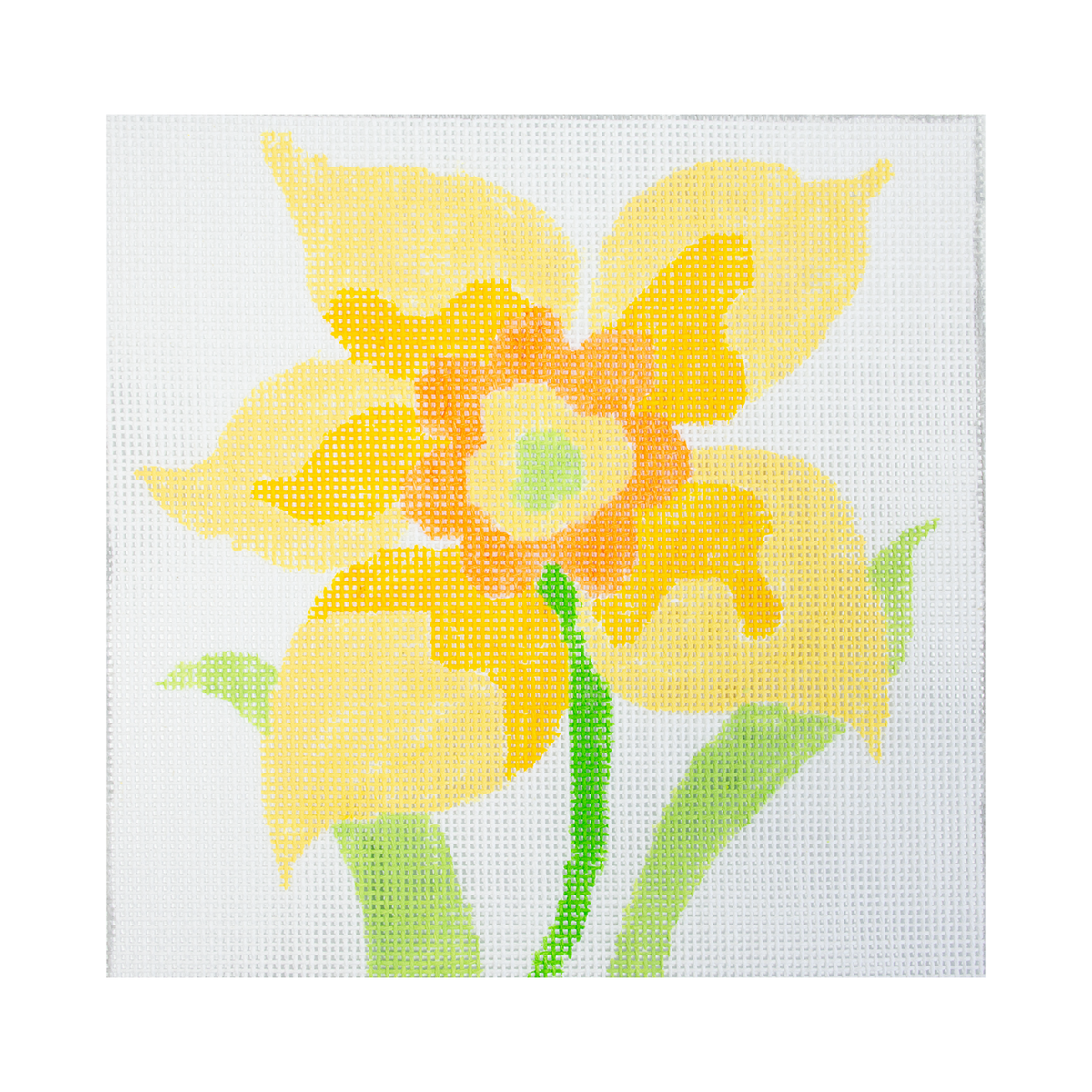 Large Simple Flowers 8" Daffodil - 1
