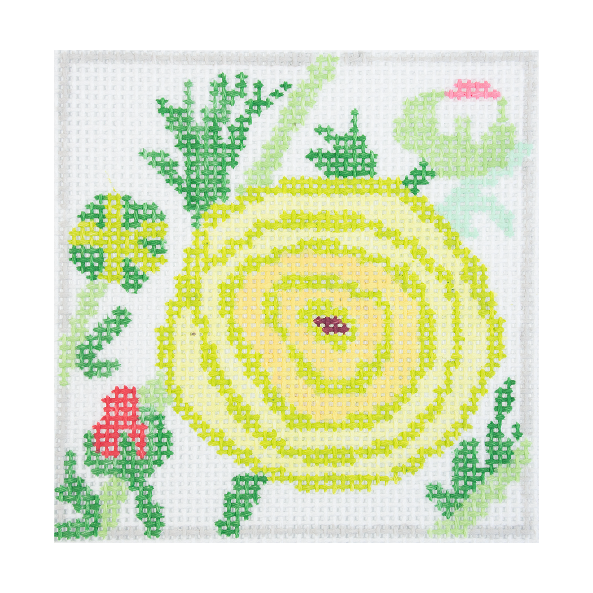 Ranunculus Coaster #2 - 1