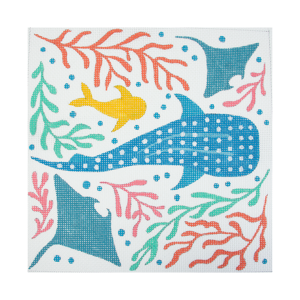 Sea Life and Seaweed - 1