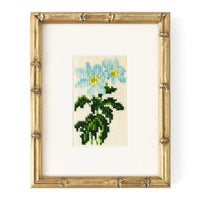 Anemone Starter Kit Kits Elizabeth Bradley Design 