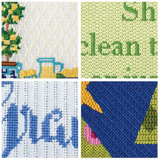 Big Spaces, Big Impact Technique Class Kit Kits Needlepoint.Com 
