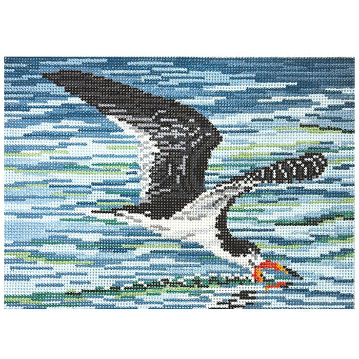 Black Skimmer on 13 Painted Canvas Needle Crossings 
