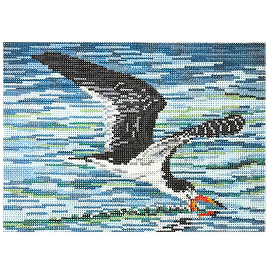 Black Skimmer on 18 Painted Canvas Needle Crossings 