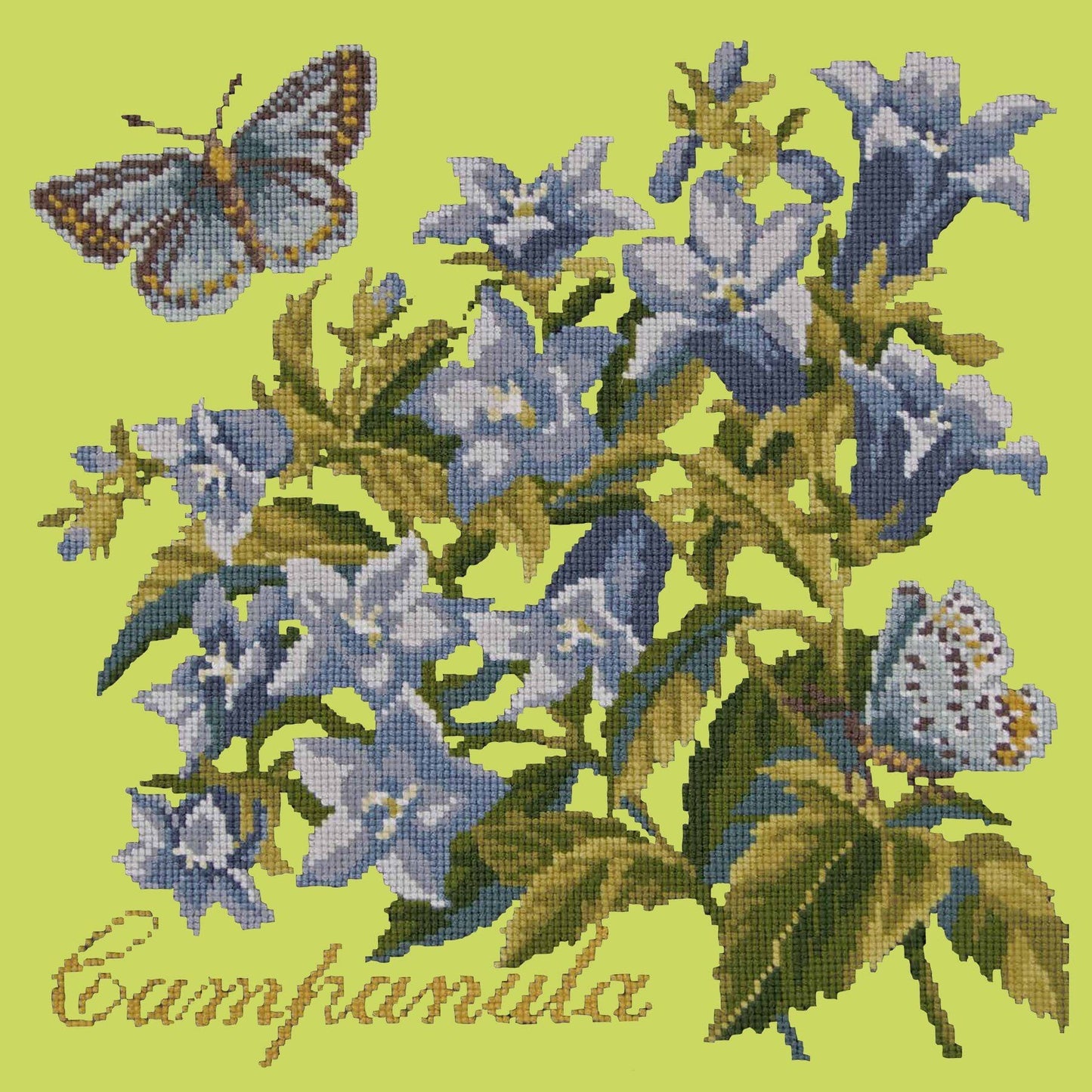 Campanula Needlepoint Kit Kits Elizabeth Bradley Design Pale Lime 