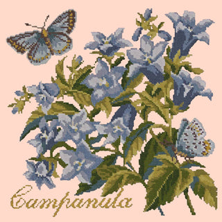 Campanula Needlepoint Kit Kits Elizabeth Bradley Design Salmon Pink 
