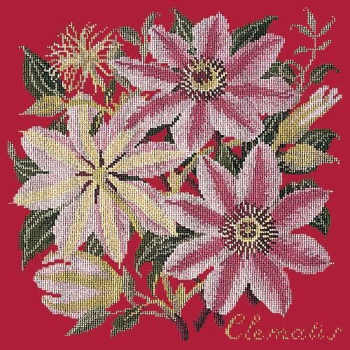 Clematis Needlepoint Kit Kits Elizabeth Bradley Design Bright Red 