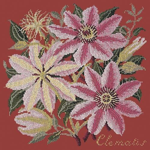 Clematis Needlepoint Kit Kits Elizabeth Bradley Design Dark Red 

