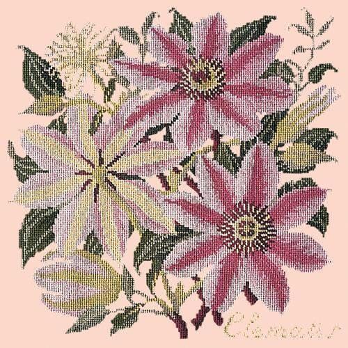 Clematis Needlepoint Kit Kits Elizabeth Bradley Design Salmon Pink 
