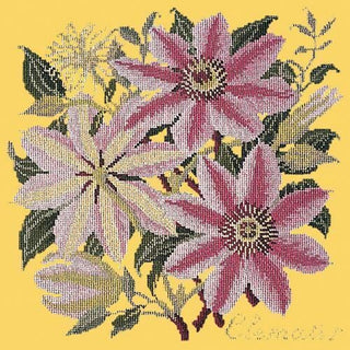 Clematis Needlepoint Kit Kits Elizabeth Bradley Design Sunflower Yellow 
