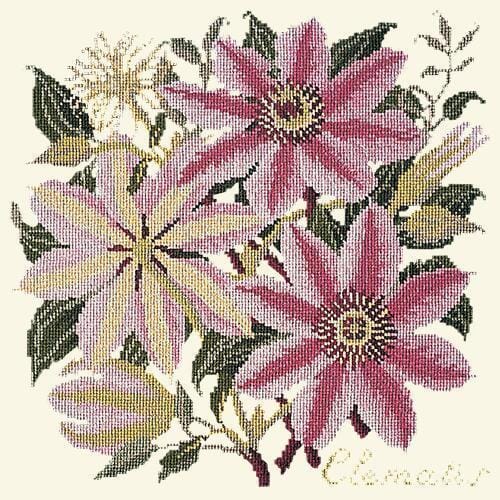 Clematis Needlepoint Kit Kits Elizabeth Bradley Design Winter White 