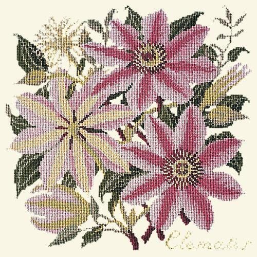Clematis Needlepoint Kit Kits Elizabeth Bradley Design Winter White 

