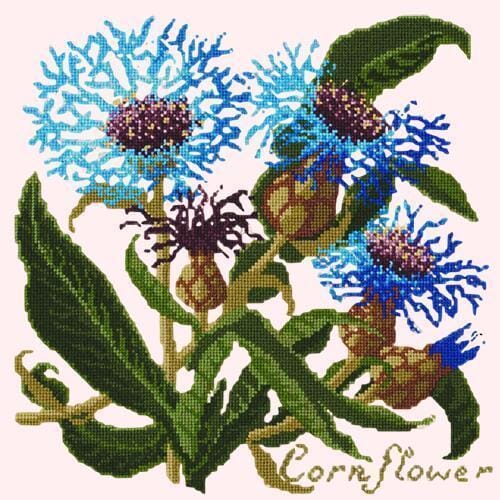 Cornflower Needlepoint Kit Kits Elizabeth Bradley Design Cream 