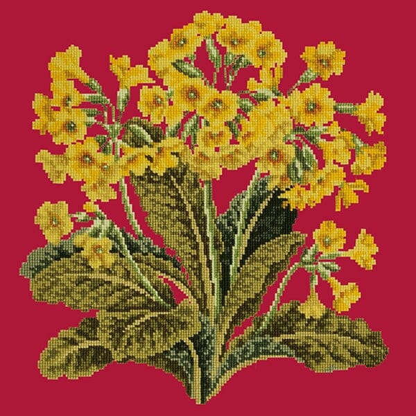 Cowslip Needlepoint Kit Kits Elizabeth Bradley Design Bright Red 