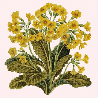 Cowslip Needlepoint Kit Kits Elizabeth Bradley Design Cream 
