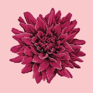 Dahlia Needlepoint Kit Kits Elizabeth Bradley Design Pale Rose 
