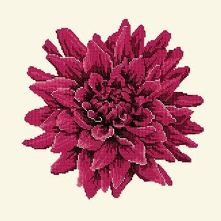 Dahlia Needlepoint Kit Kits Elizabeth Bradley Design Winter White 
