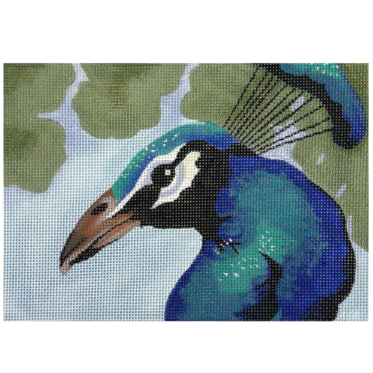 Details: Peacock Painted Canvas Shorebird Studio 
