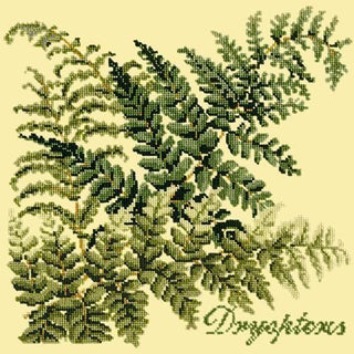 Dryopteris Needlepoint Kit Kits Elizabeth Bradley Design Butter Yellow 

