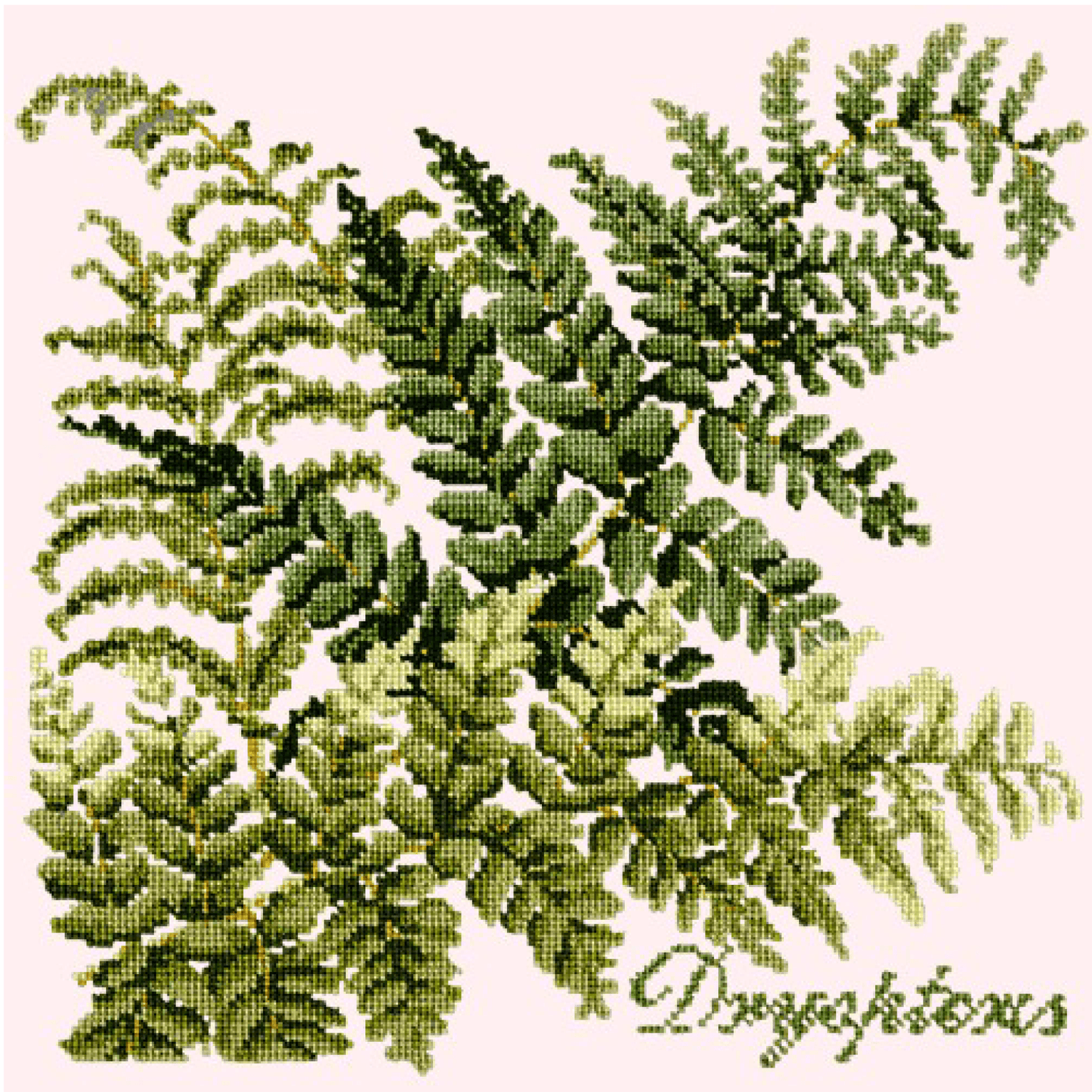 Dryopteris Needlepoint Kit Kits Elizabeth Bradley Design Cream 