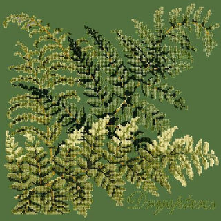 Dryopteris Needlepoint Kit Kits Elizabeth Bradley Design Dark Green 
