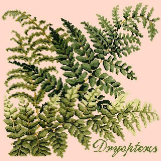 Dryopteris Needlepoint Kit Kits Elizabeth Bradley Design Salmon Pink 
