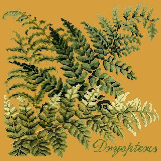 Dryopteris Needlepoint Kit Kits Elizabeth Bradley Design Yellow 
