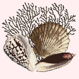 Fan Coral Needlepoint Kit Kits Elizabeth Bradley Design Cream 
