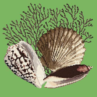 Fan Coral Needlepoint Kit Kits Elizabeth Bradley Design Grass Green 
