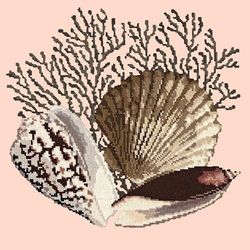 Fan Coral Needlepoint Kit Kits Elizabeth Bradley Design Salmon Pink 
