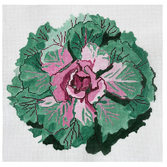 Flowering Kale #2 Painted Canvas Jean Smith 