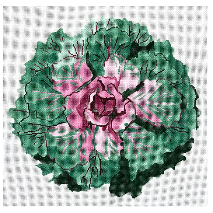 Flowering Kale #2 Painted Canvas Jean Smith  - 1