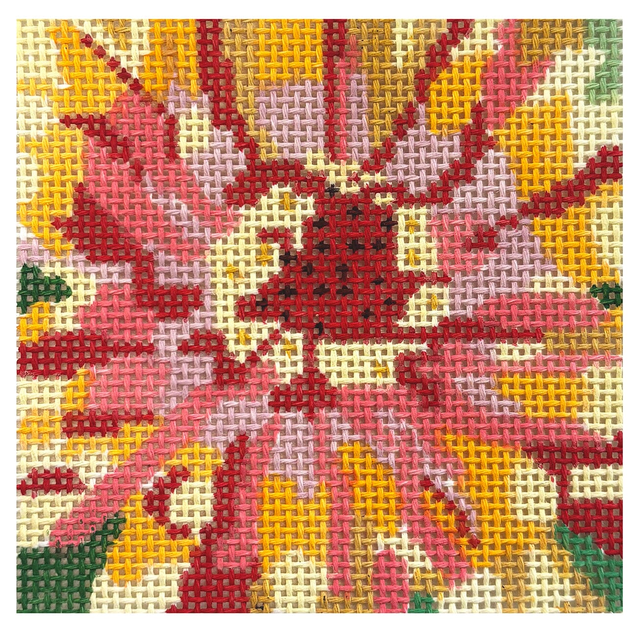 Full Bloom Coaster   Bold Zinnia Painted Canvas Jean Smith 
