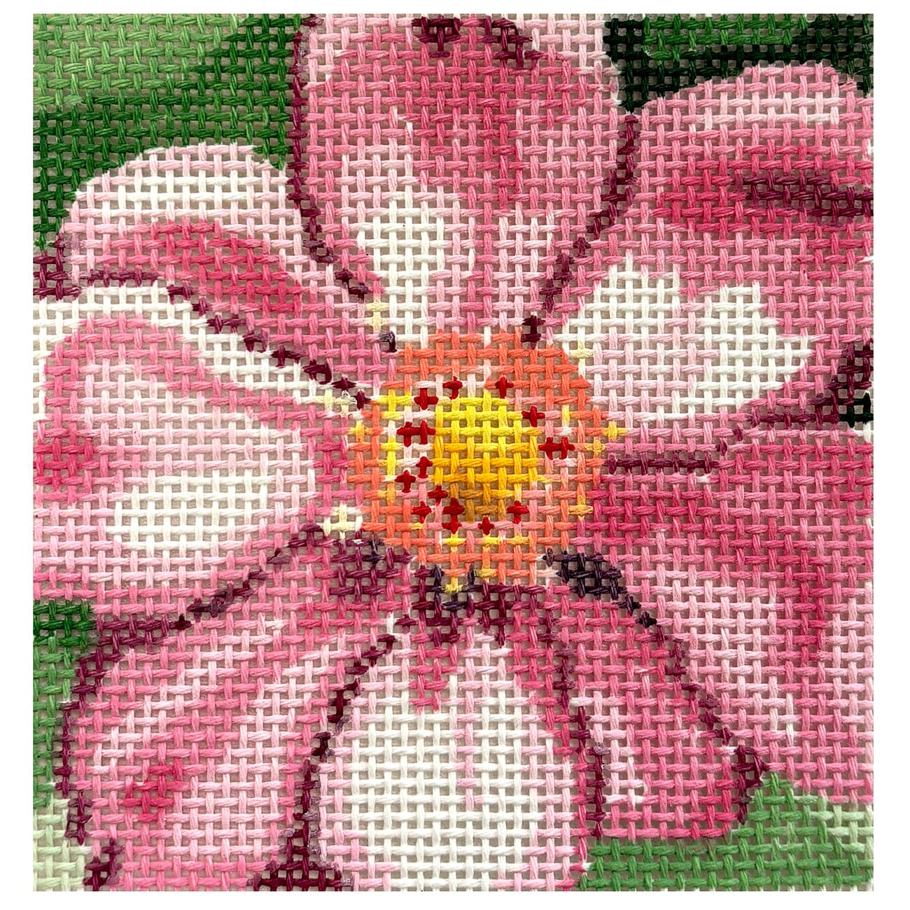 Full Bloom Coaster   Cosmos Painted Canvas Jean Smith 
